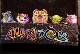 Angry Dogs
